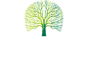 九游会J9.com导航
